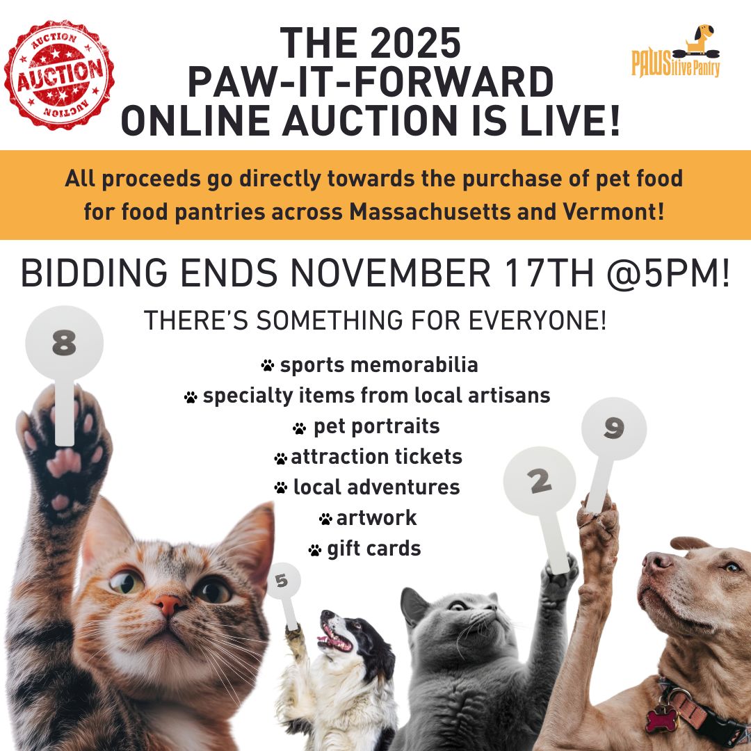 Auction Graphic – 2025